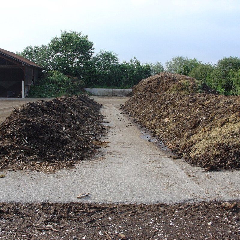 Organic Compost