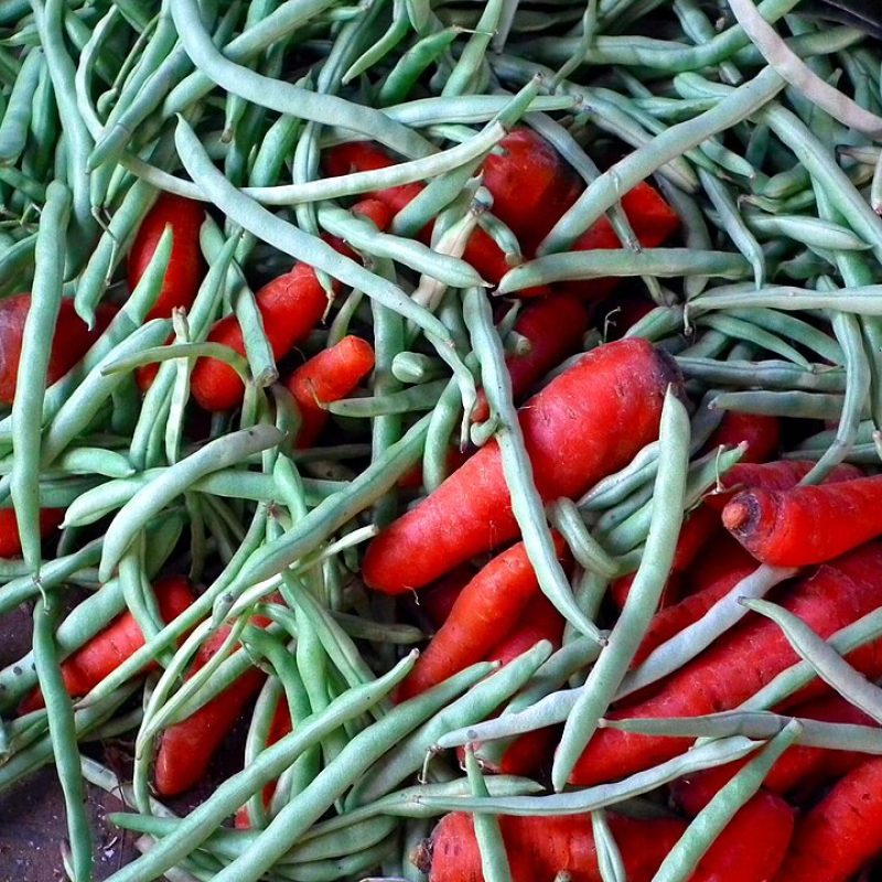 Cowpea
