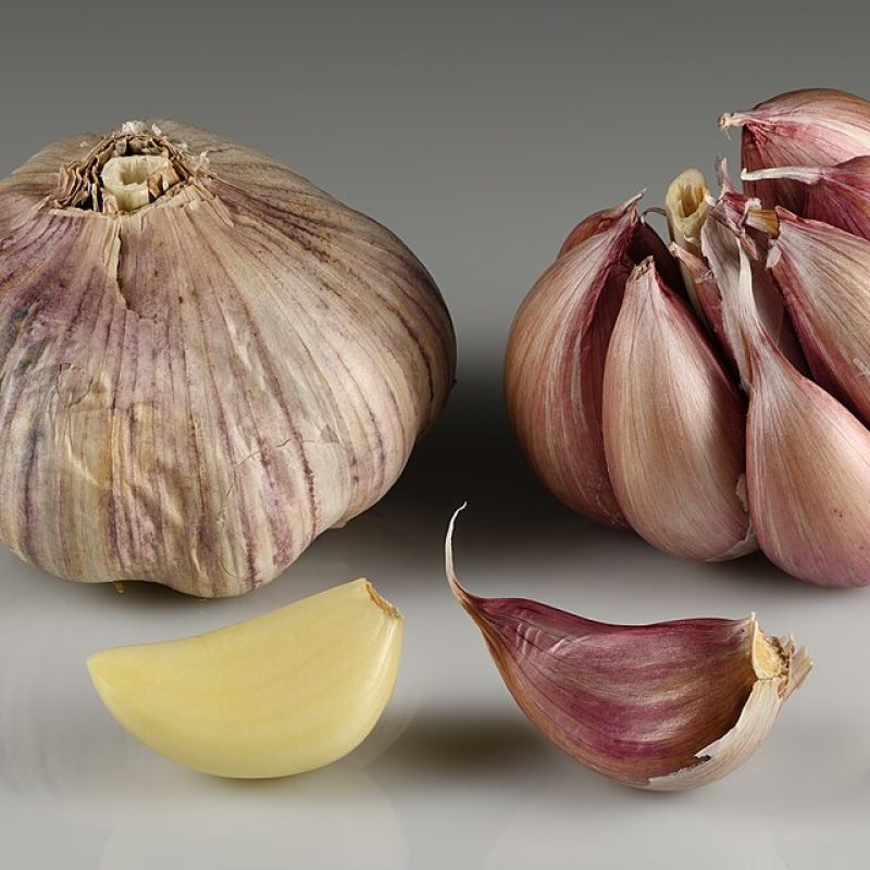 Garlic