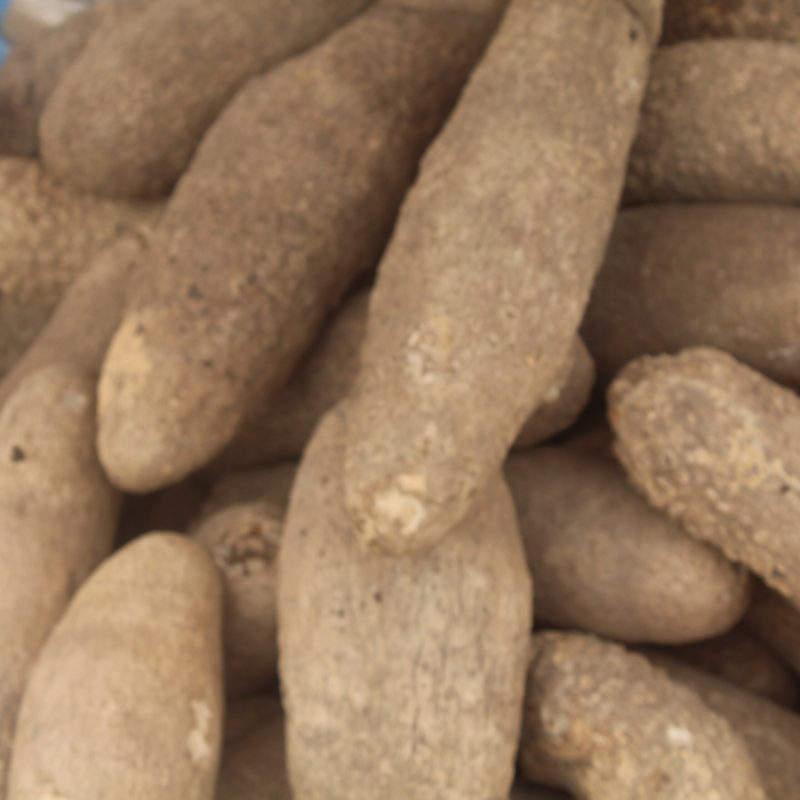 Yam