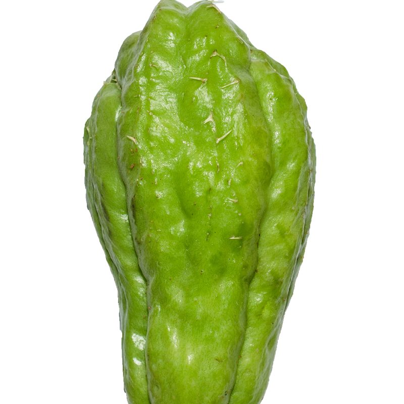 Chayote Squash