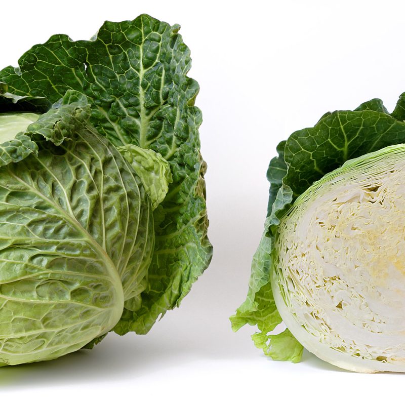 Cabbage