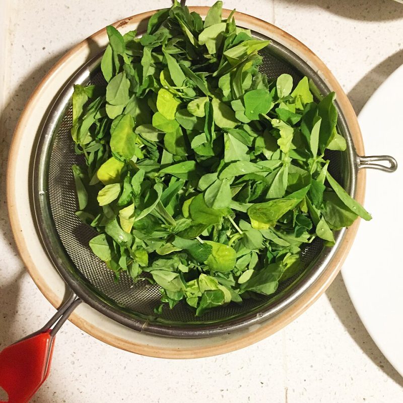 Methi Saag