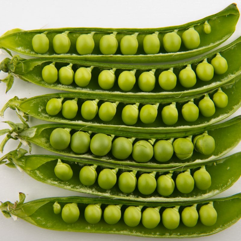 Kerau