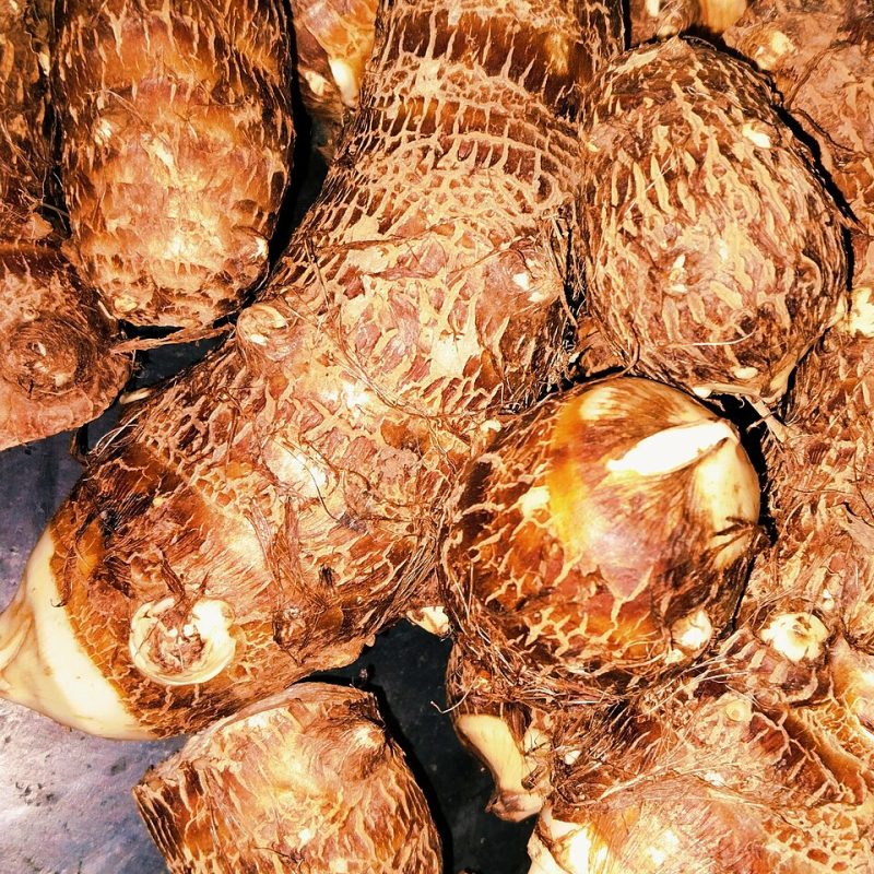 Karkalo (Pidalu)