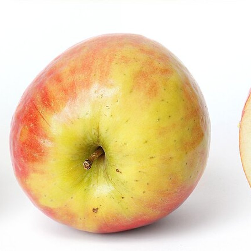 Mustang Apple